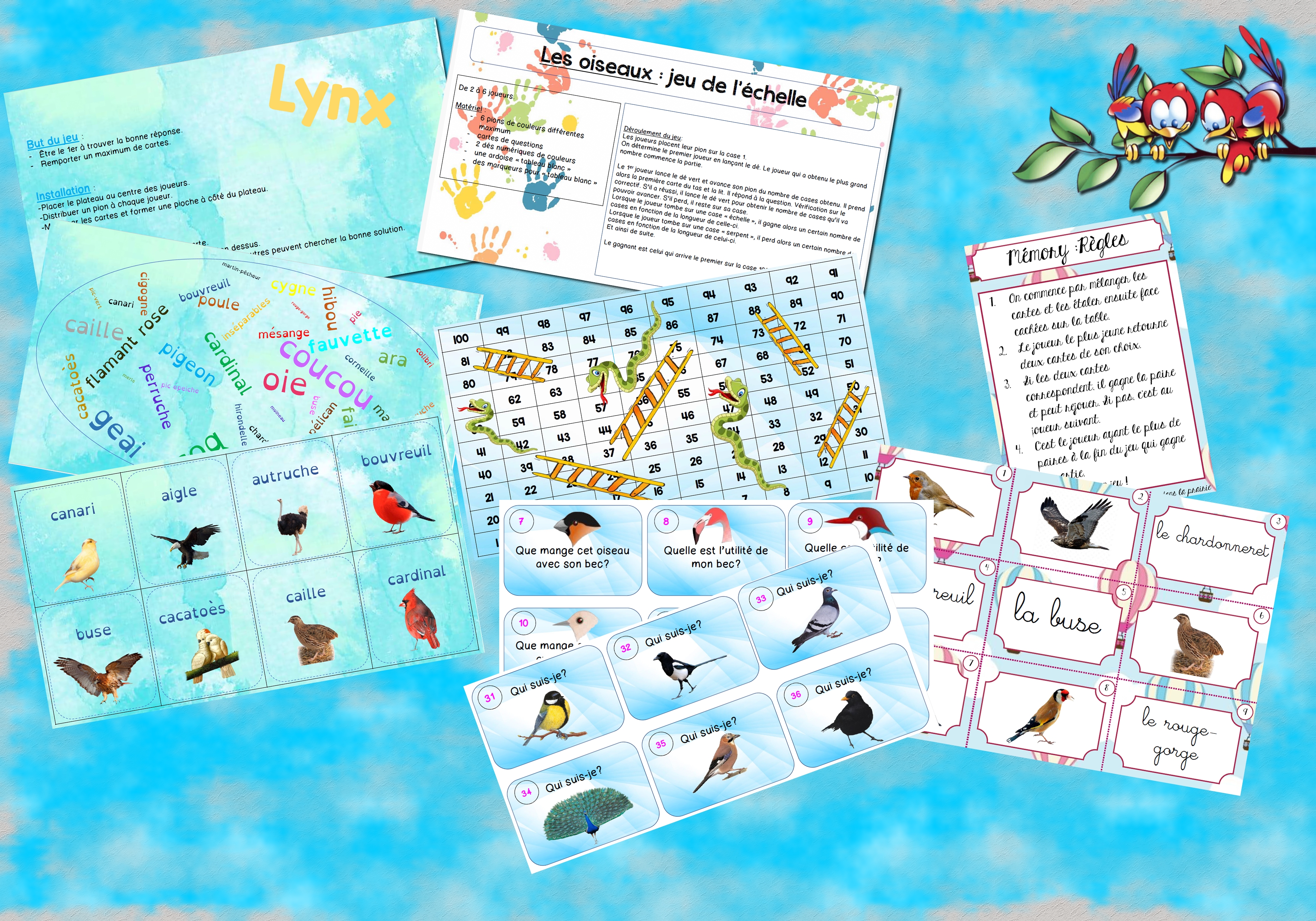 presentation jeux oiseaux