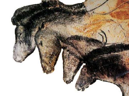 "La grotte Chauvet",une conférence des Amis du Musée