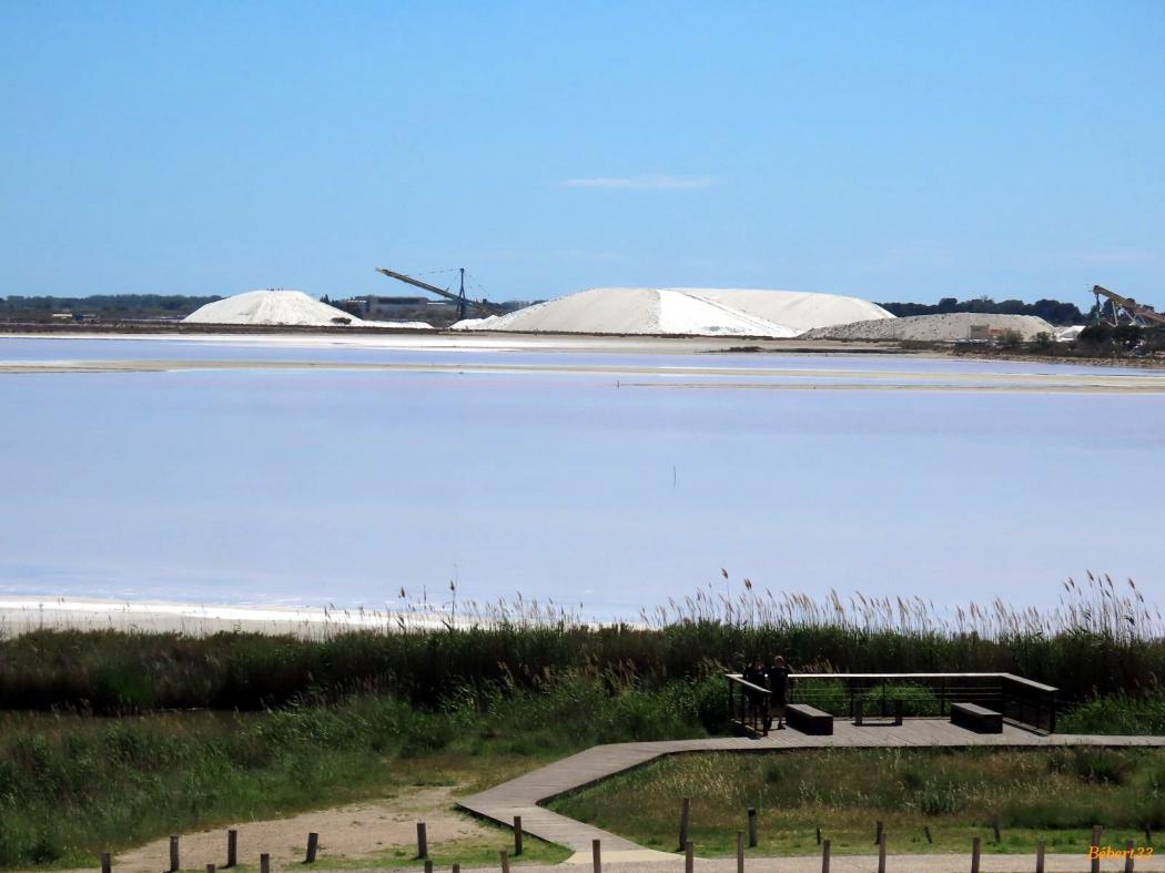 Aigues-Mortes en 2021 