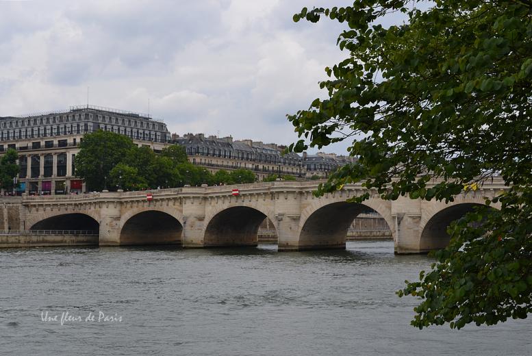 L'Île de la Cité : Le Pont Neuf