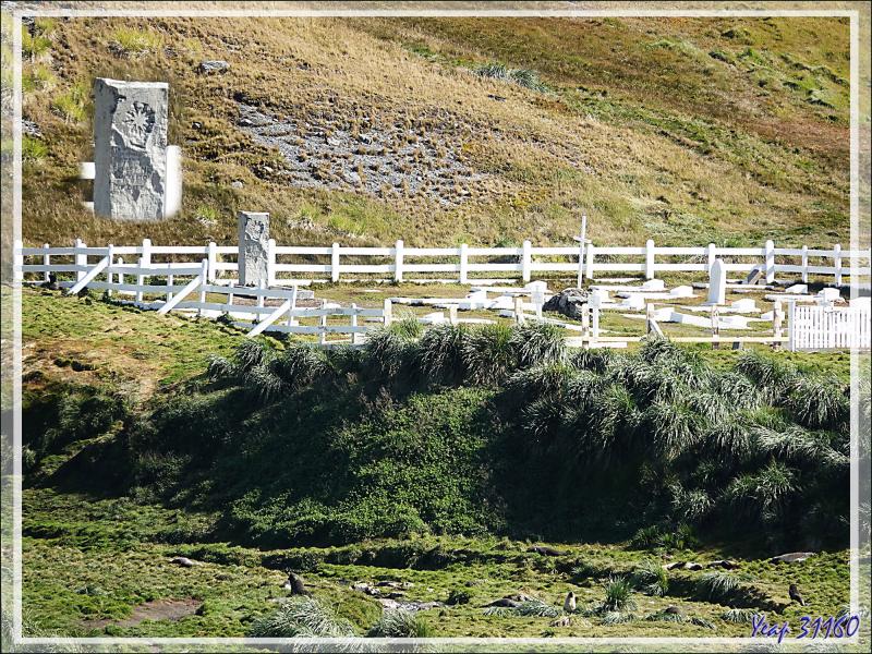 Panorama sur l'ancienne station baleinière de Grytviken vue du balcon de notre cabine - Géorgie du Sud