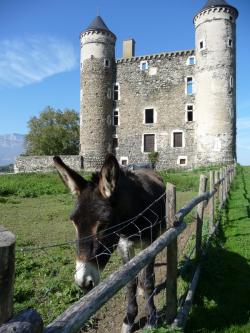 Lundi en une, deux, trois, quatre ( Ou plus ) photos 
