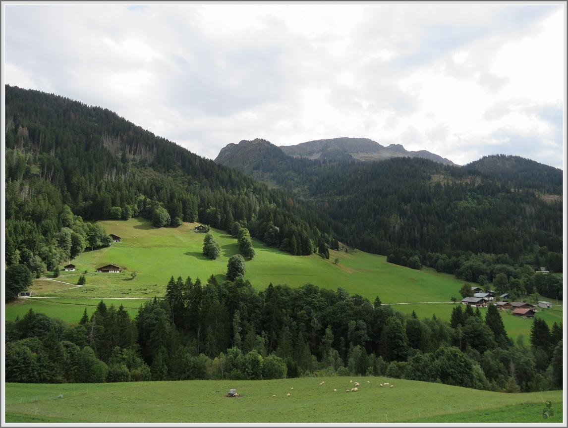  LA  DECENTE  DU  COL  DU  JOLY  