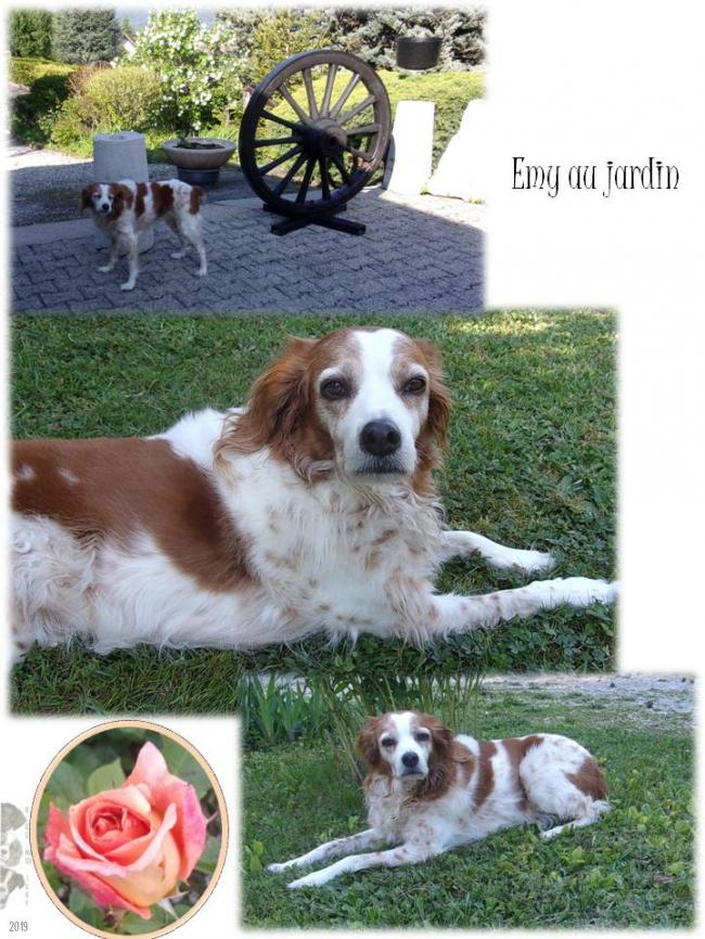 Nouvelles : Emy au jardin