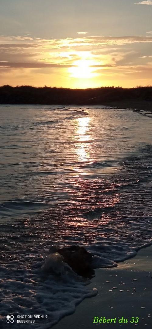 le lac marin de Marennes (17)