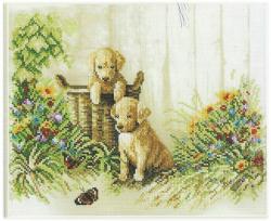 Innocent Puppies (7)