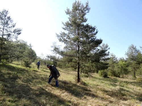 Natura 2000