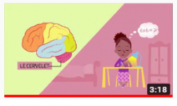Comment expliquer le cerveau aux enfants?