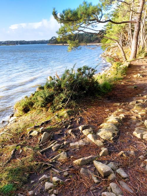 Entre deux giboulées de mars en décembre Balade à Baden golfe du Morbihan (2)