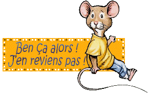 *☆*:;;;;;;:*☆* Magnifique *☆*:;;;;;:*☆*