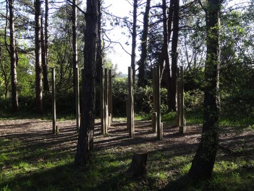 Un après midi dans les pins