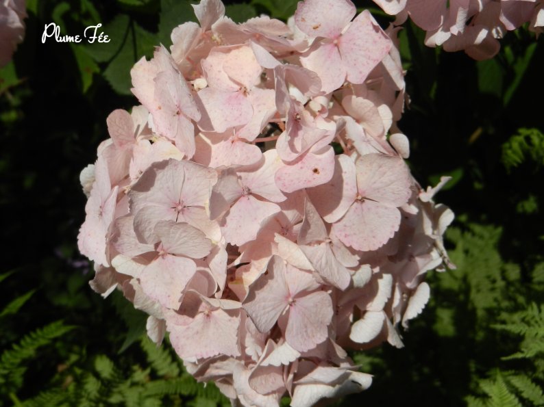 Image008.jpg