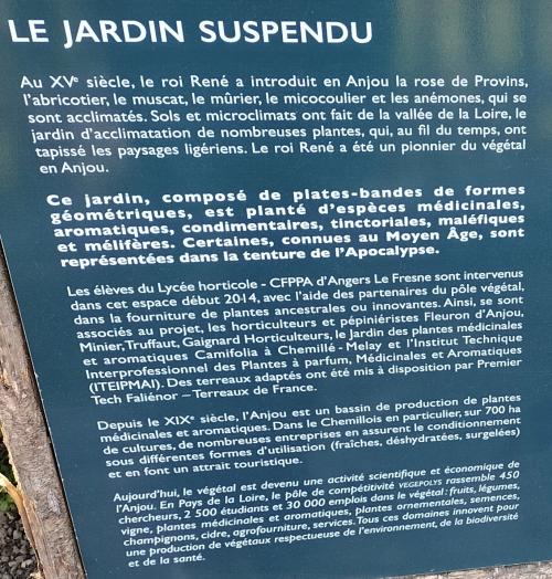 ANGERS - Château (les jardins)