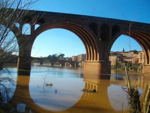 Albi  (Tarn)