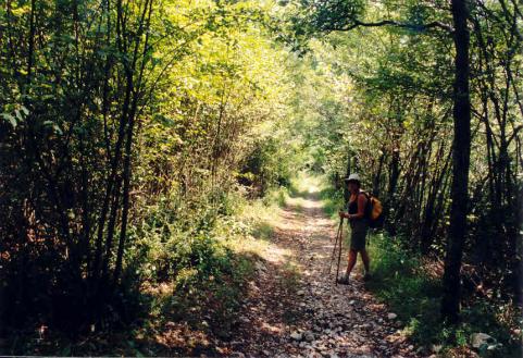Dans les pas des moines défricheurs - 6eme étape : Lamoura - Villard Saint-Sauveur  (23 km)