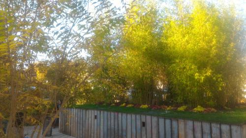 Quatorzième jardin éphémère.