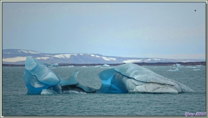 En attendant mon débarquement, je capture en image les plus beaux "glaçons" qui défilent - Devon Island - Nunavut - Canada