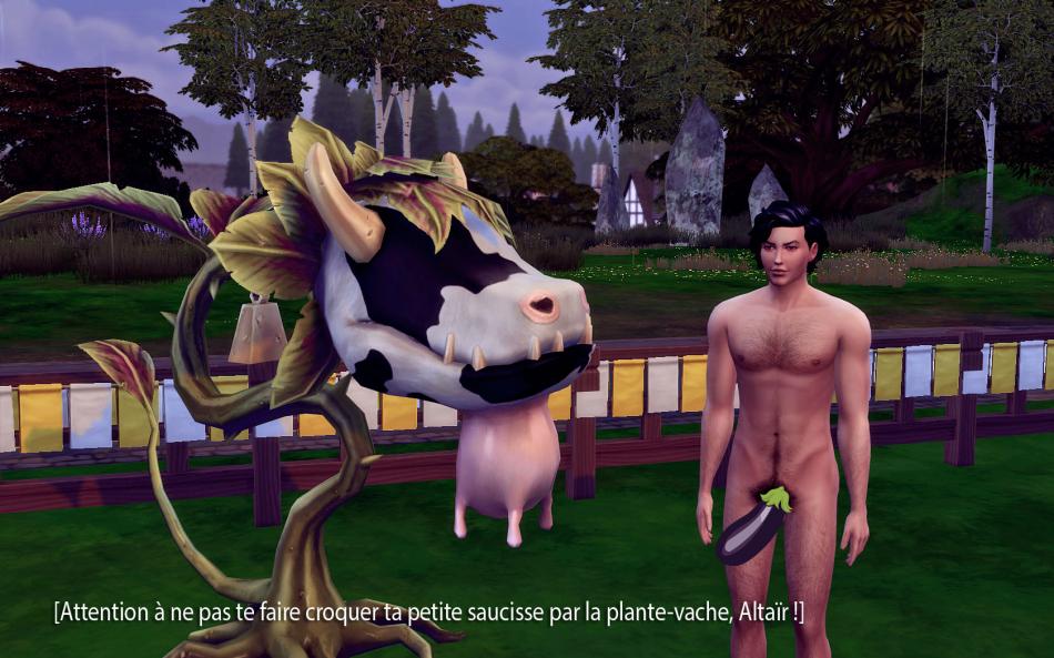 [CALF] Printemps 3 - Semaine 12 - Jours 79 à 82