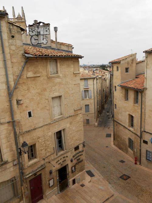 Montpellier  (Hérault)