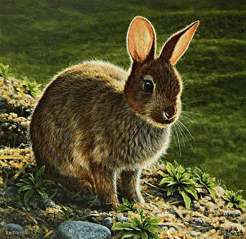 Peinture de :