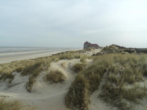  * La Dune Marchand et la Dune du Perroquet à Bray-Dunes