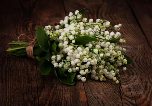 fleurs de mai