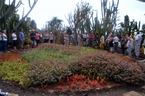 Circuit en étoile à Madère : Funchal, son marché et son jardin botanique