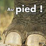 Classer, trier les animaux