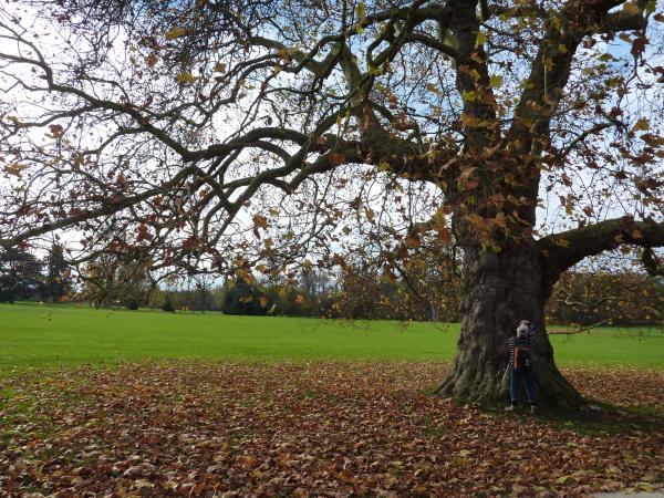 Le Parc Culturel de Rentilly