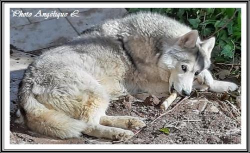 Jeska (6,5 ans)