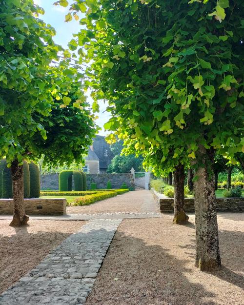 ANGERS - Château (les jardins)