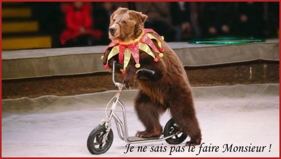 NOS CiRQUES
