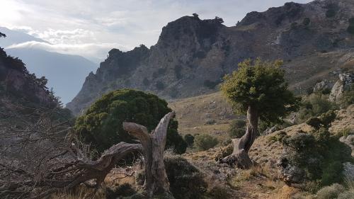 Les gorges de PLATANIA, suite...