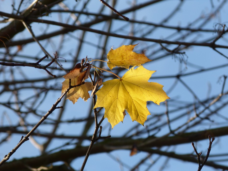 Après la tempête, le calme