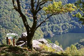 ╰⊱♥⊱╮ღ꧁ Le Limousin 19  ꧂ღ╭⊱♥≺