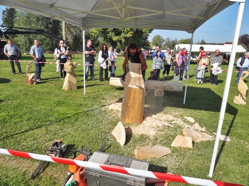 La fête de l'Automne à Leuglay...
