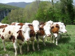 Weekend de Pâques en quelques photos 