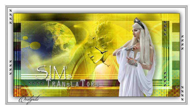Sim's Translators