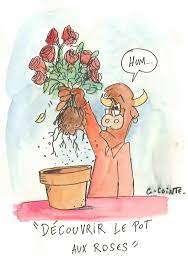 Expressions pittoresques ou la quintessence de la sapience