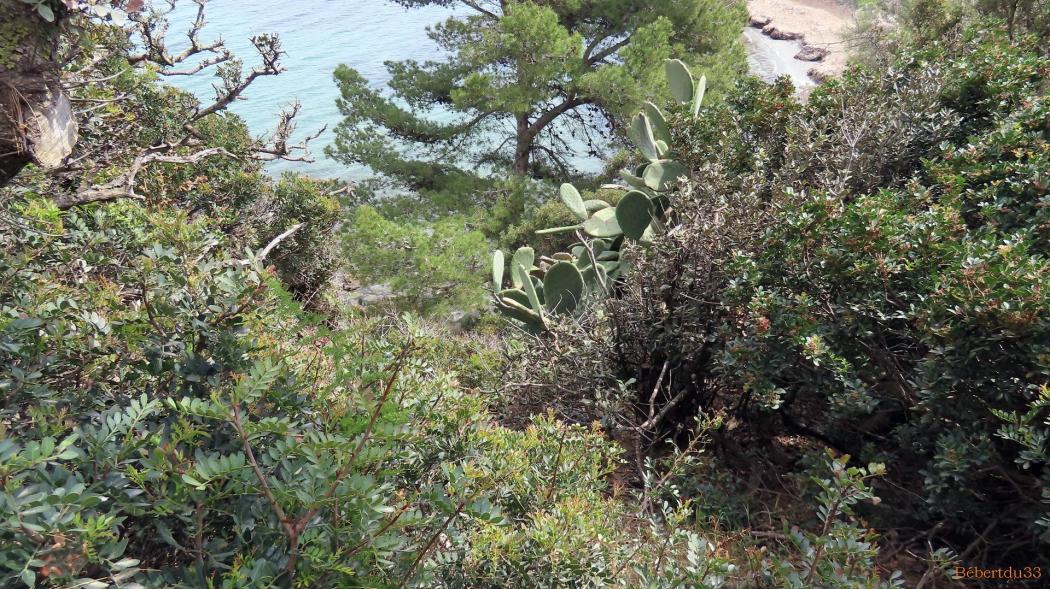 La Madrague - presqu'île de Giens - 14