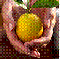 Astuces pour de beaux ongles + Mini Recette : Stick/Baume Fortifiant & Blanchissant