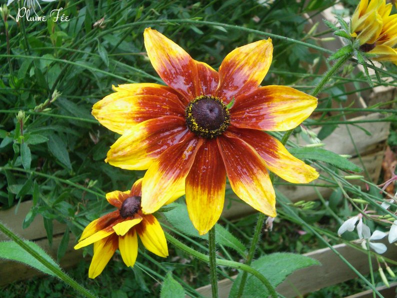 Image020.jpg