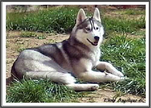 Jeska (9 mois)