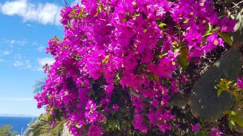 Le balcon posé sur la mer (11-2) à Μύκονoς. Le balcon du Samedi Saint