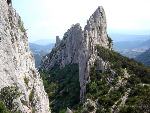 Les dentelles de Montmirail  (Vaucluse)
