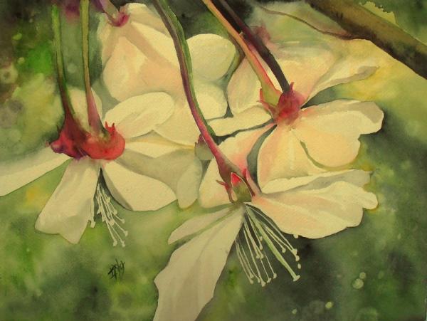 Aquarelles d' Isalelle Nicolas Maignan