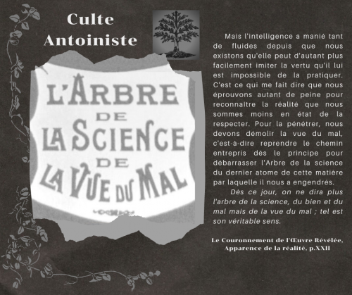 Le Couronnement de l'Œuvre Révélée, Apparence de la réalité (p.XXII)