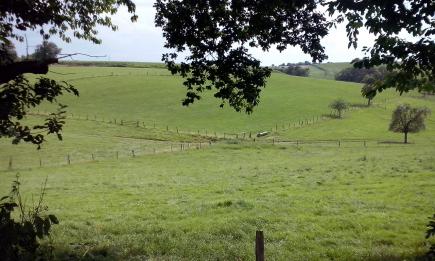 Ein Stück lokale Vergangenheit: Der ehemalige Bahnhof Pattscheid