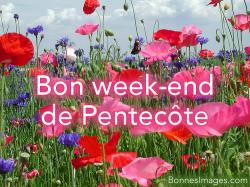Mon pensionnaire de ce week-end