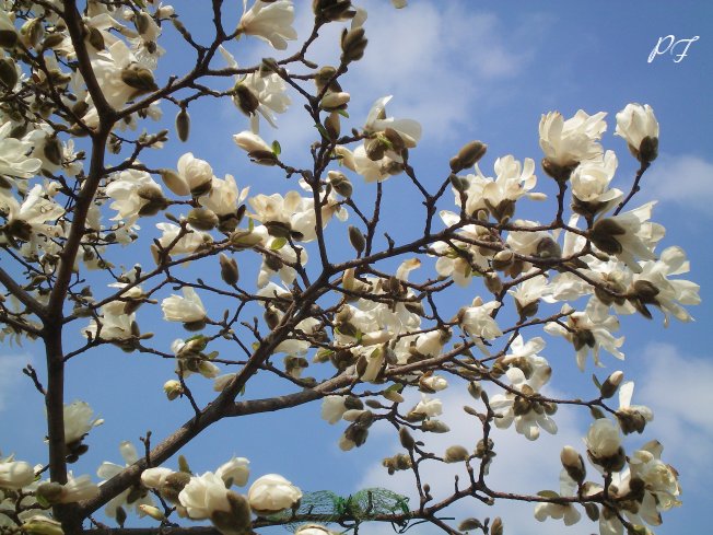 Image06.jpg